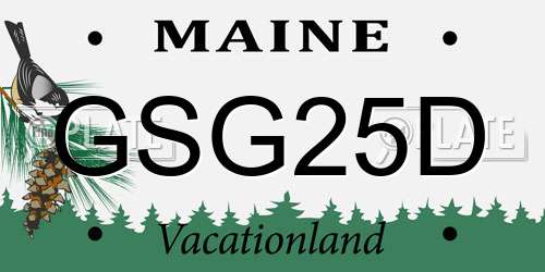 GSG25D Maine License Plate