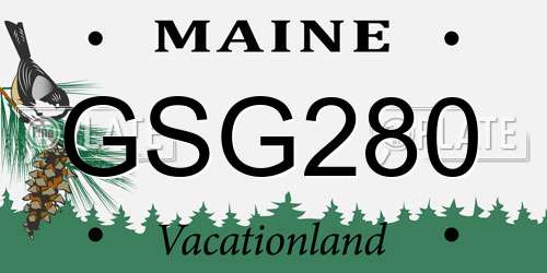 GSG280 Maine License Plate