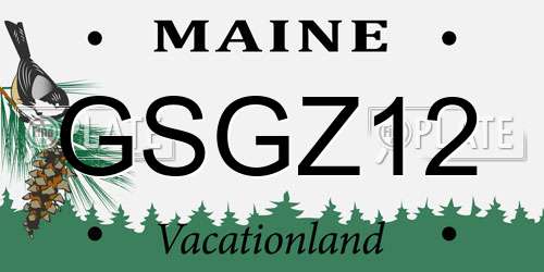 GSGZ12 Maine License Plate