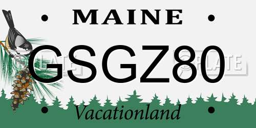 GSGZ80 Maine License Plate