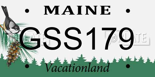 GSS179 Maine License Plate