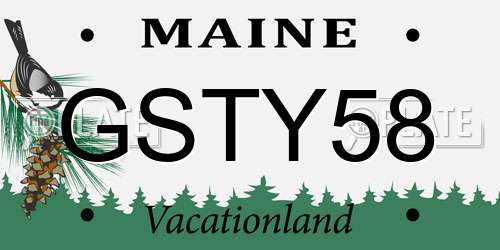 GSTY58 Maine License Plate
