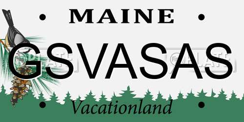 GSVASAS Maine License Plate