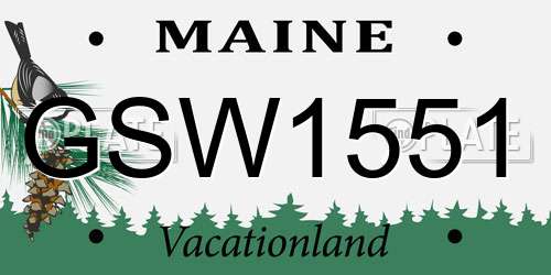 GSW1551 Maine License Plate