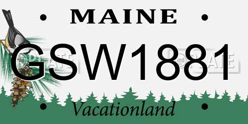 GSW1881 Maine License Plate
