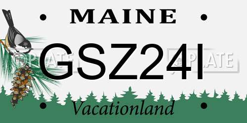 GSZ24I Maine License Plate
