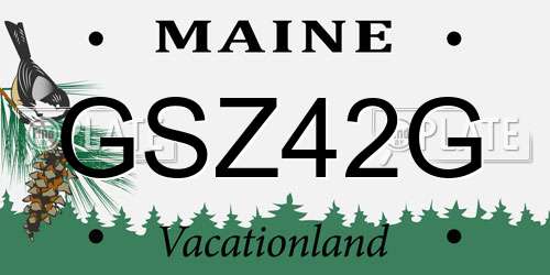 GSZ42G Maine License Plate