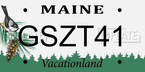GSZT41 Maine License Plate