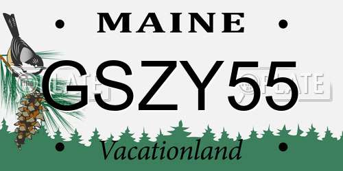 GSZY55 Maine License Plate