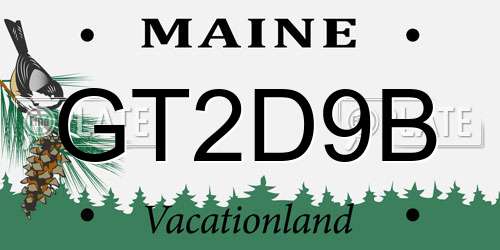 GT2D9B Maine License Plate