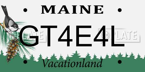 GT4E4L Maine License Plate