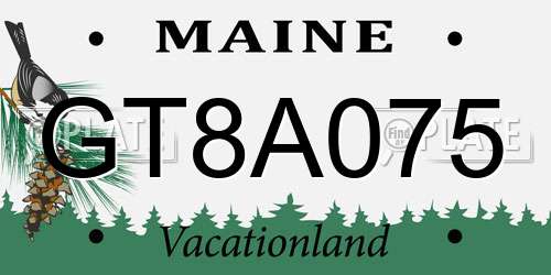 GT8A075 Maine License Plate