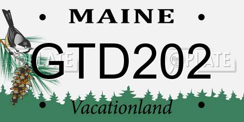GTD202 Maine License Plate