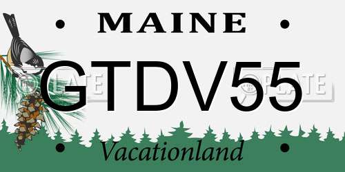 GTDV55 Maine License Plate