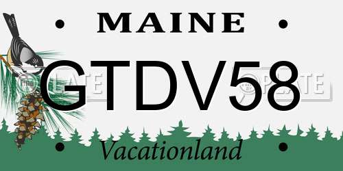 GTDV58 Maine License Plate