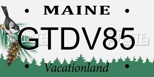 GTDV85 Maine License Plate