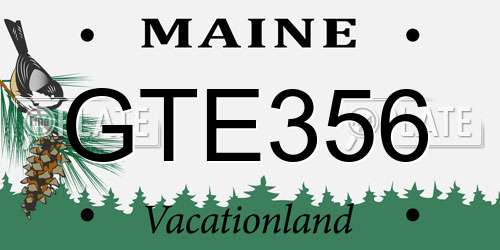 GTE356 Maine License Plate