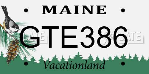GTE386 Maine License Plate
