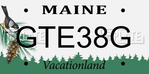 GTE38G Maine License Plate