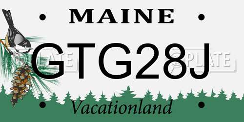GTG28J Maine License Plate