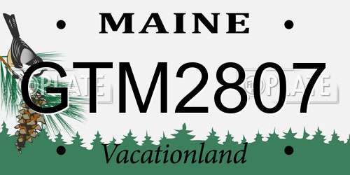 GTM2807 Maine License Plate