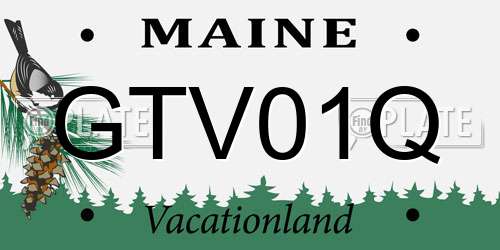 GTV01Q Maine License Plate