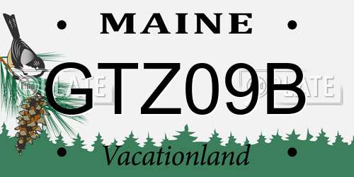GTZ09B Maine License Plate