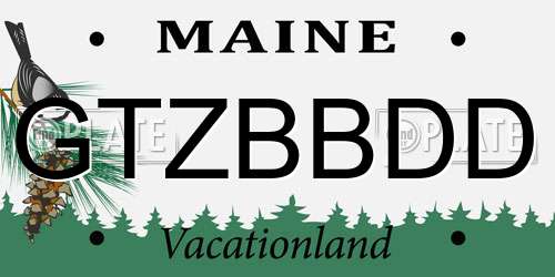 GTZBBDD Maine License Plate