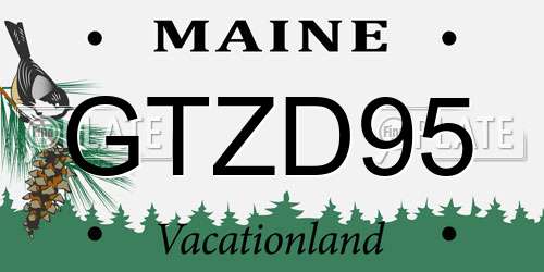 GTZD95 Maine License Plate