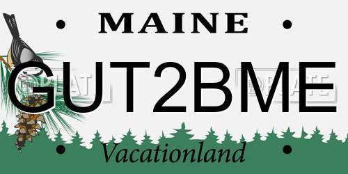 GUT2BME Maine License Plate