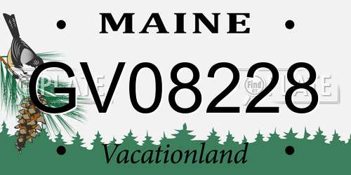 GV08228 Maine License Plate