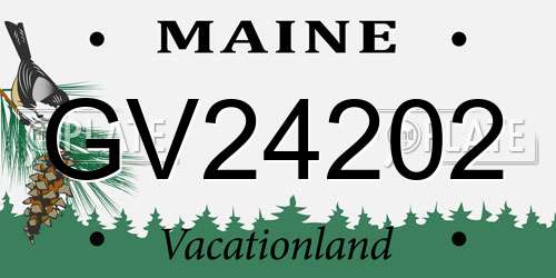 GV24202 Maine License Plate
