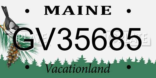 GV35685 Maine License Plate