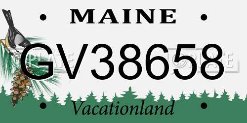 GV38658 Maine License Plate