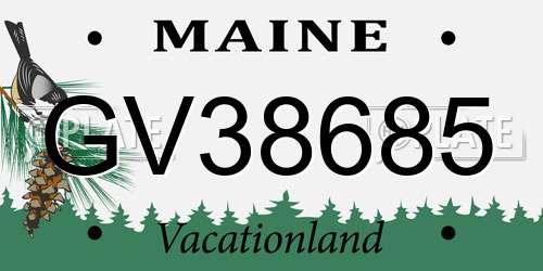 GV38685 Maine License Plate
