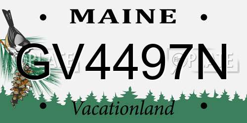 GV4497N Maine License Plate