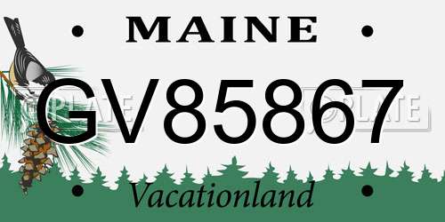 GV85867 Maine License Plate