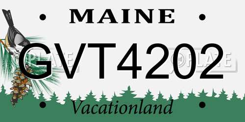 GVT4202 Maine License Plate