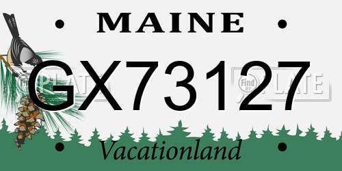 GX73127 Maine License Plate