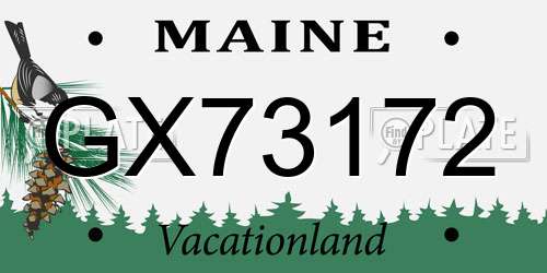 GX73172 Maine License Plate