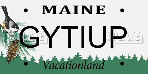 GYTIUP Maine License Plate