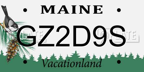 GZ2D9S Maine License Plate