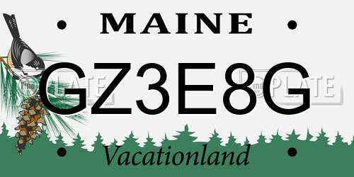 GZ3E8G Maine License Plate