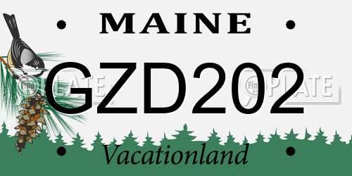 GZD202 Maine License Plate
