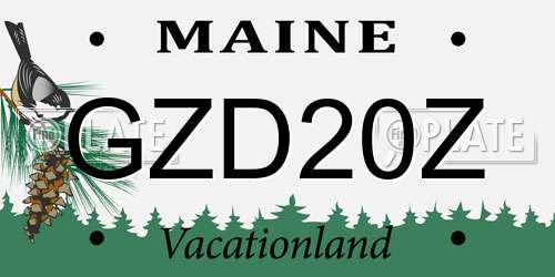 GZD20Z Maine License Plate