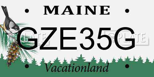 GZE35G Maine License Plate