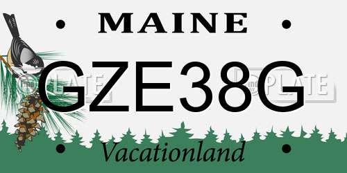 GZE38G Maine License Plate
