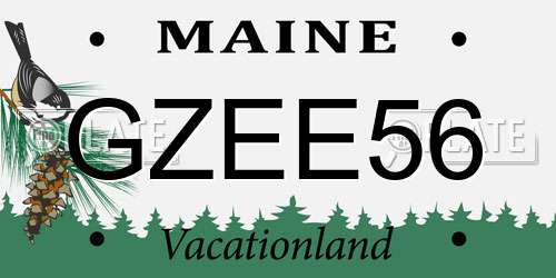 GZEE56 Maine License Plate