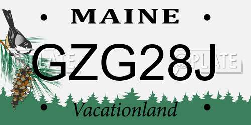 GZG28J Maine License Plate