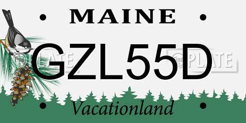 GZL55D Maine License Plate